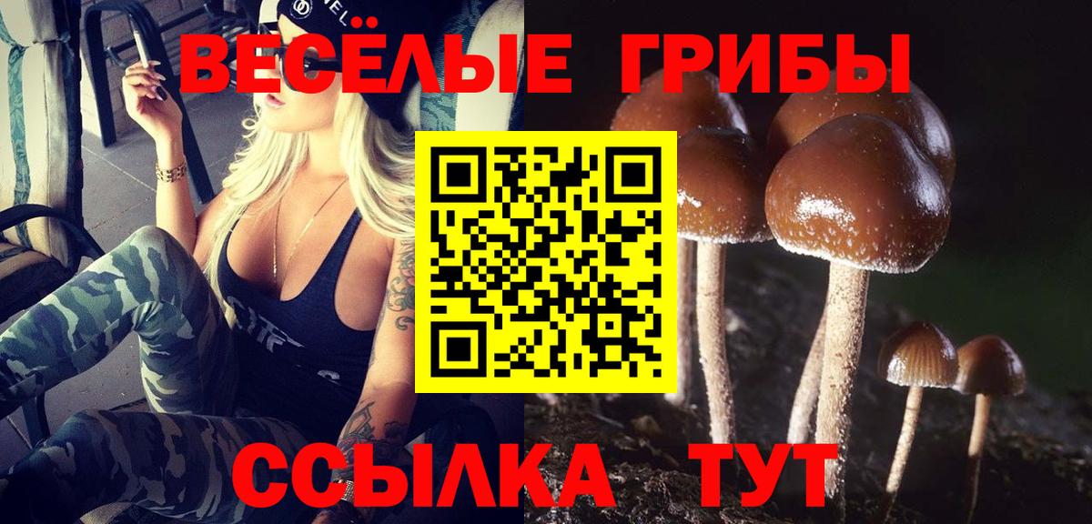 Галлюциногенные грибы прущие грибы Орск